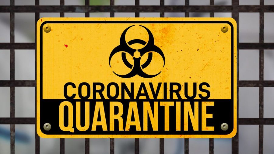 My+Quarantine+Experience